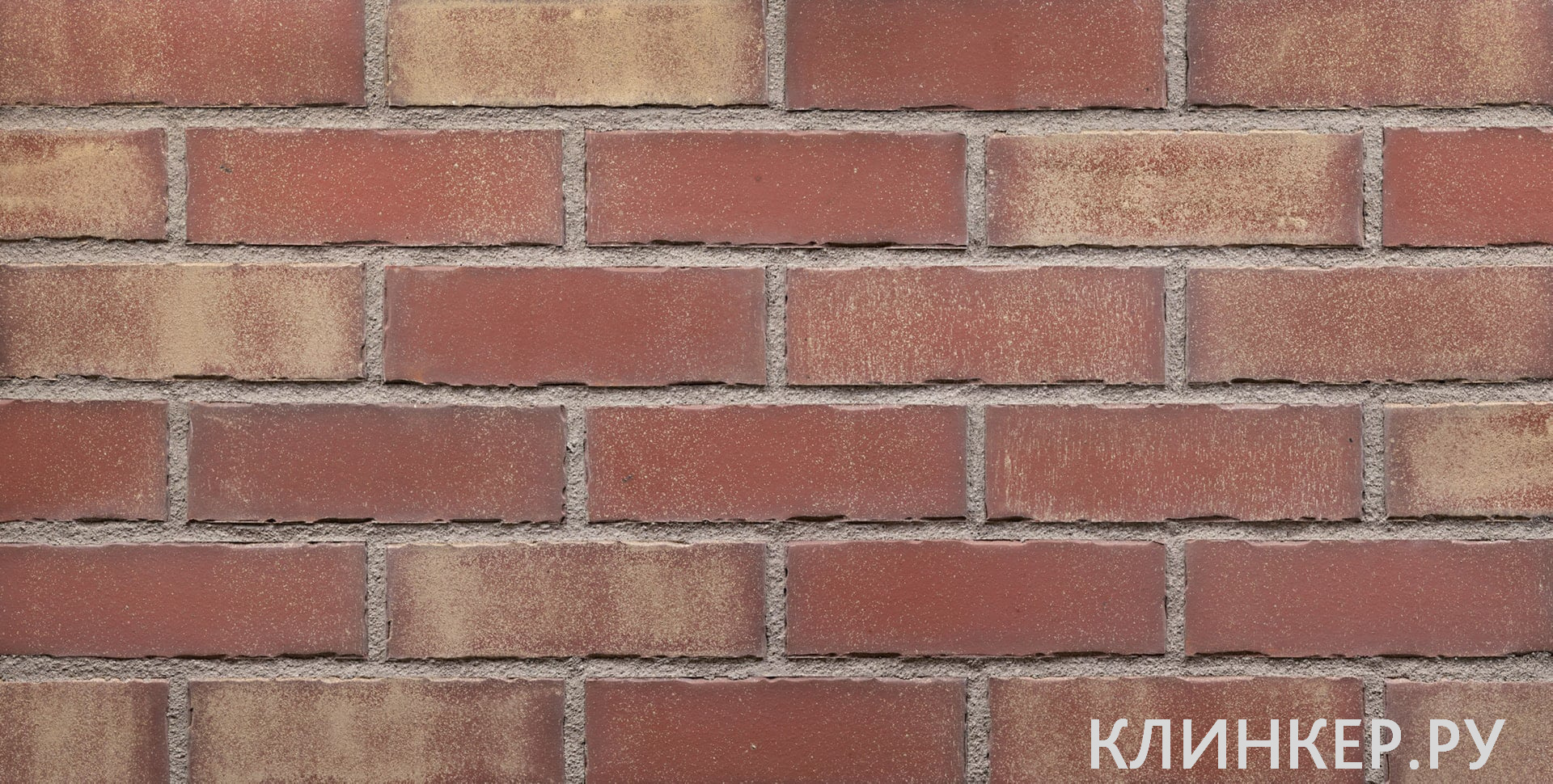 plitka-hf38-never-land-nf14_1