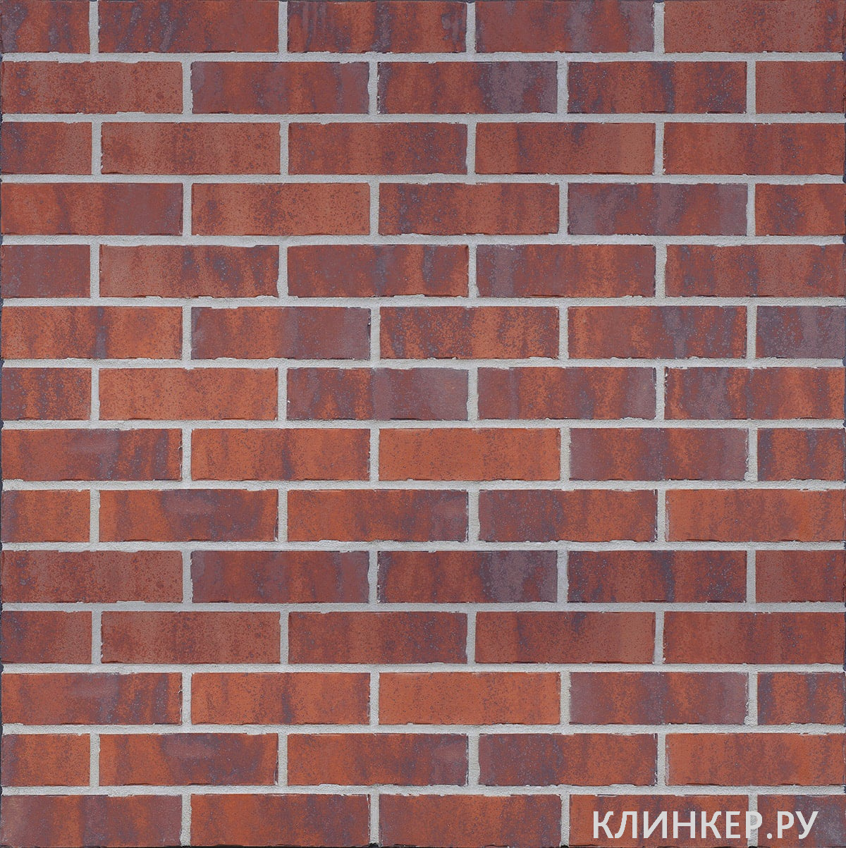 hf39-red-square-nf14-nvf_2