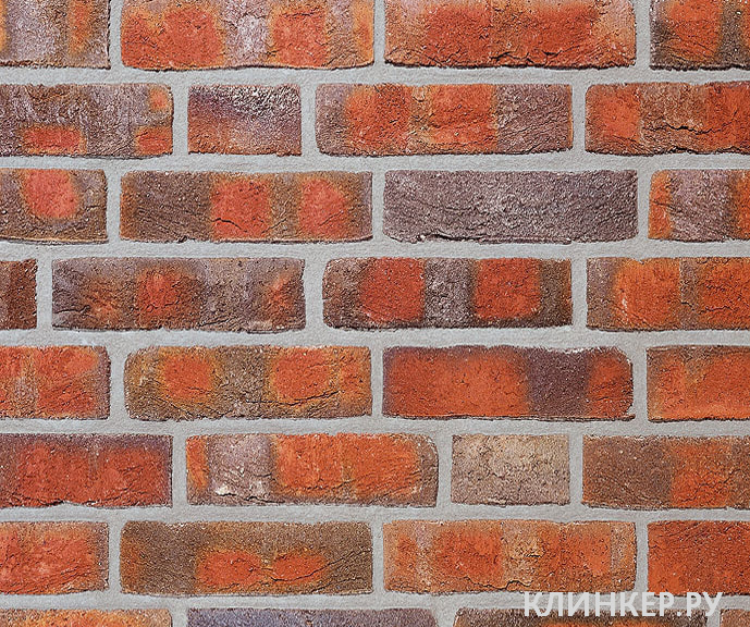 wasserstrich-buntgeflammt_21