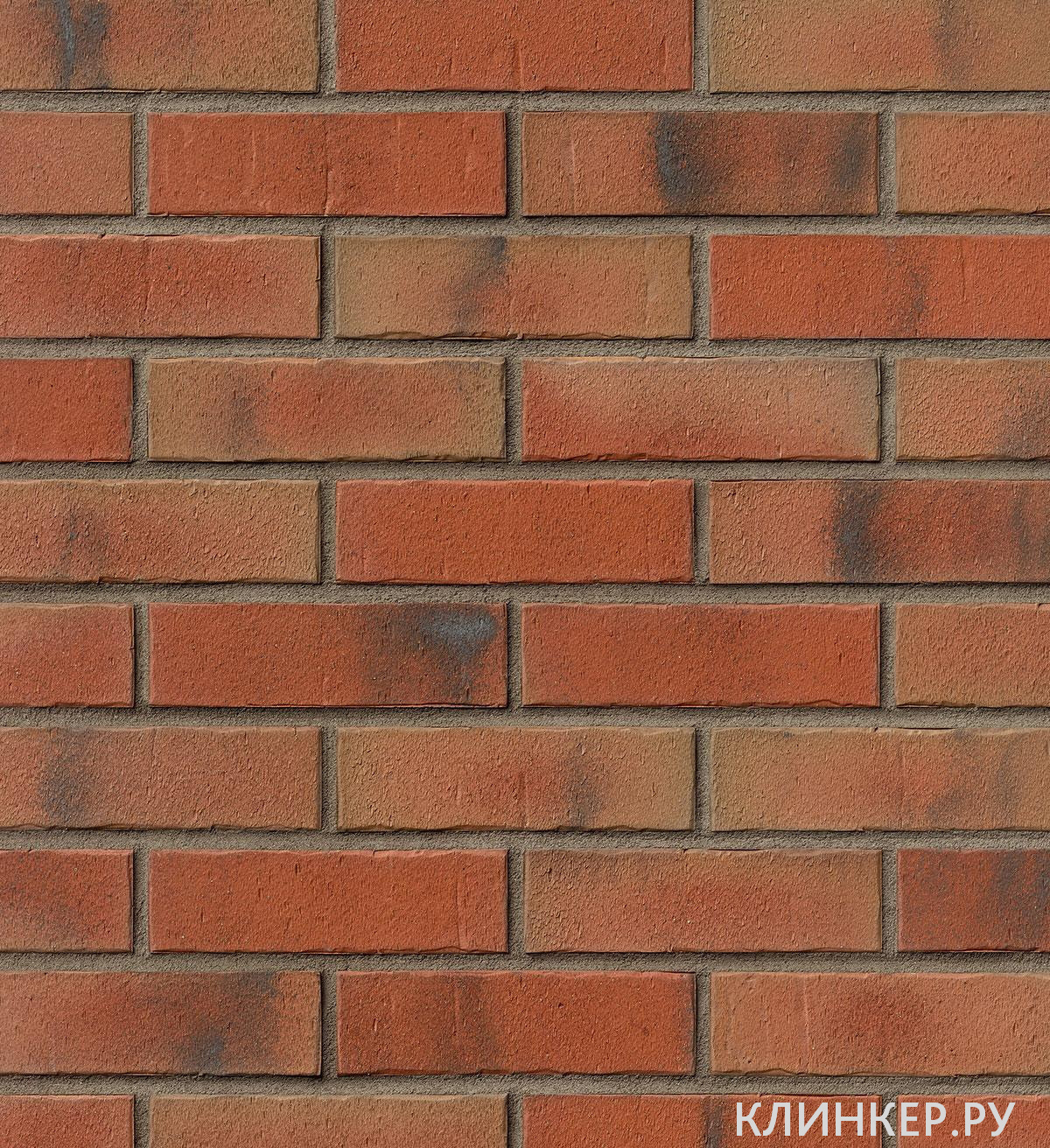 marseille-rot-bunt-carbon_1