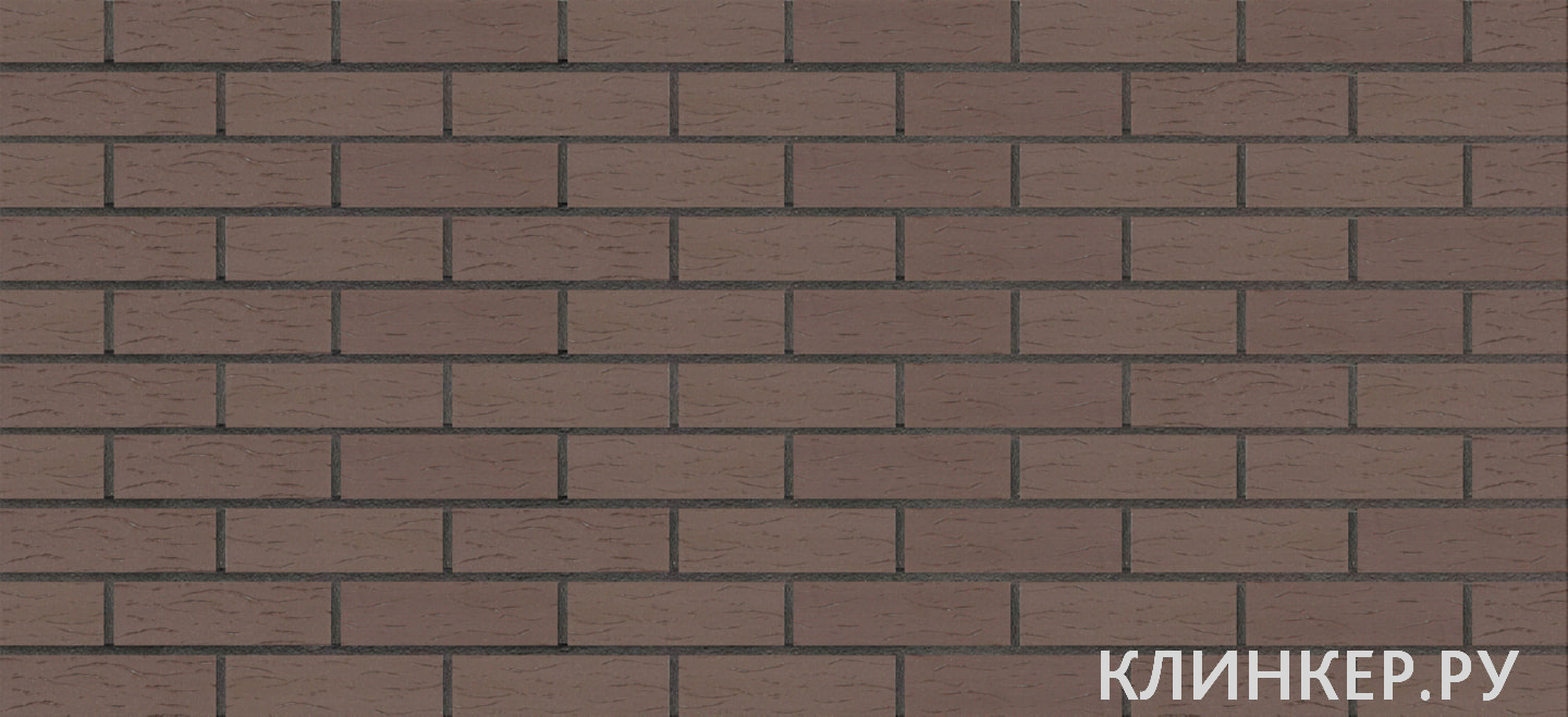 koro-brown-2201_3