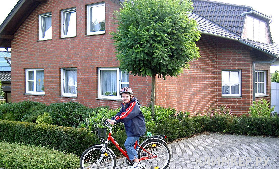 westerwald-bunt-glatt_17