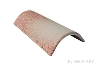 konkovaya_cherepitsa_dyuna