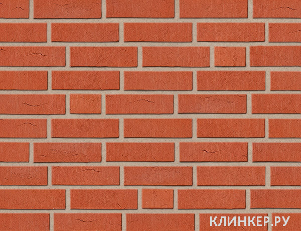 rubinrot-wasserstrich_17