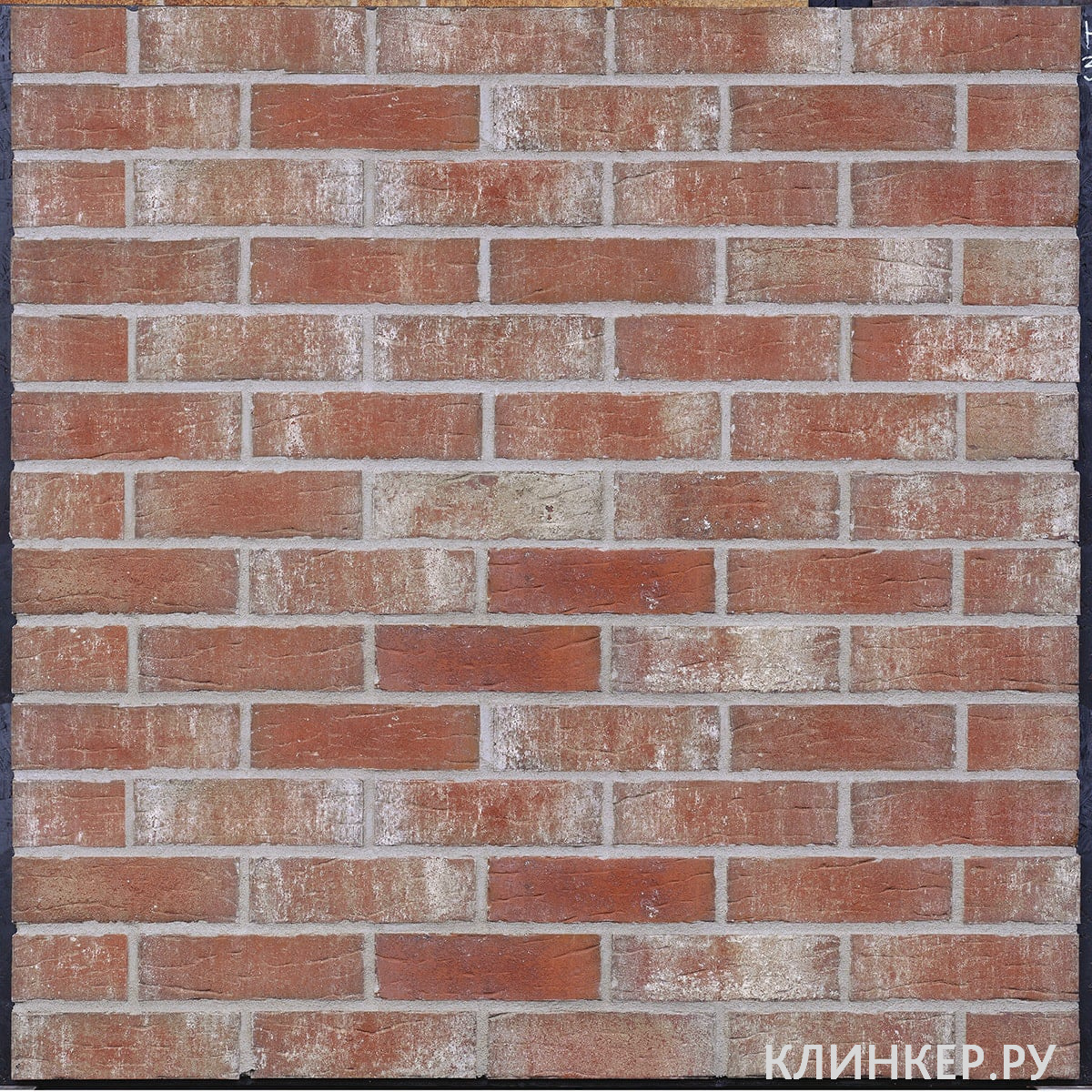 hf36-royal-stronghold-nf14-nvf_2