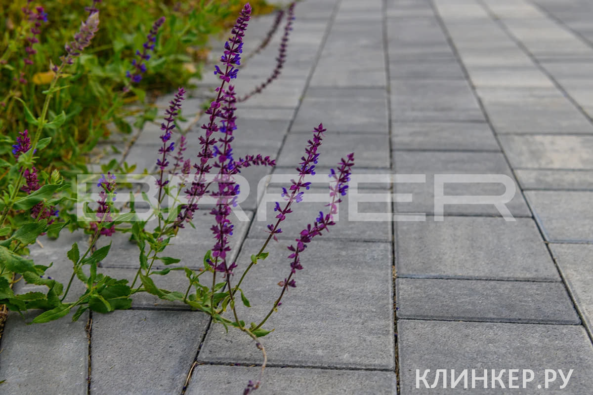 starij-gorod-landhaus-color-mix-vecher_16