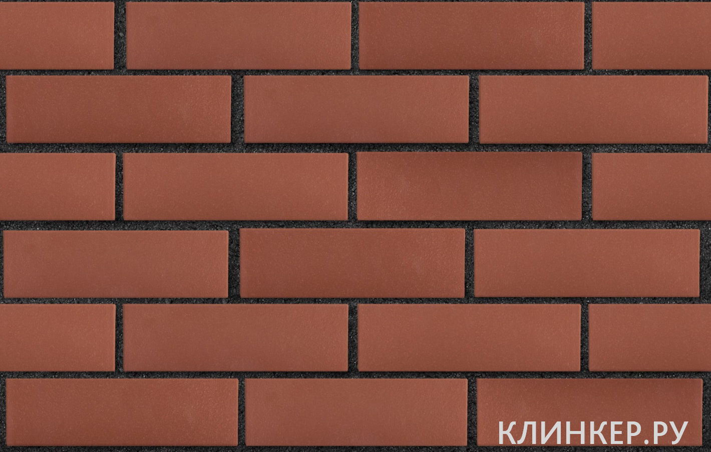 edinburg-tyomno-krasnij-gladkaya_3