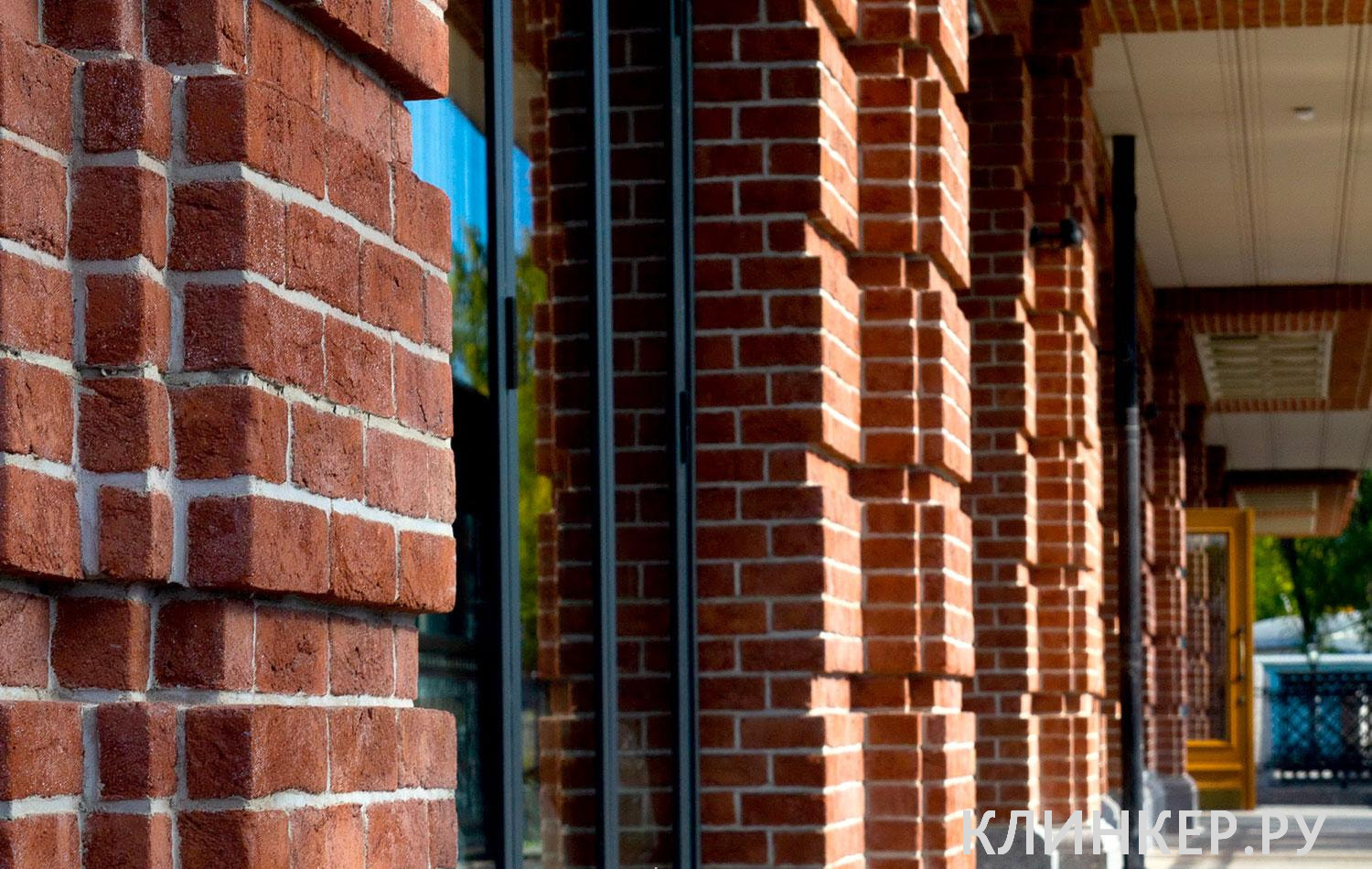 formback-rot-braun_12