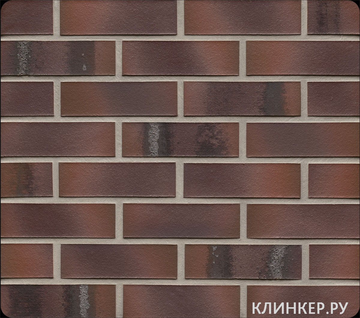 k561nf_3