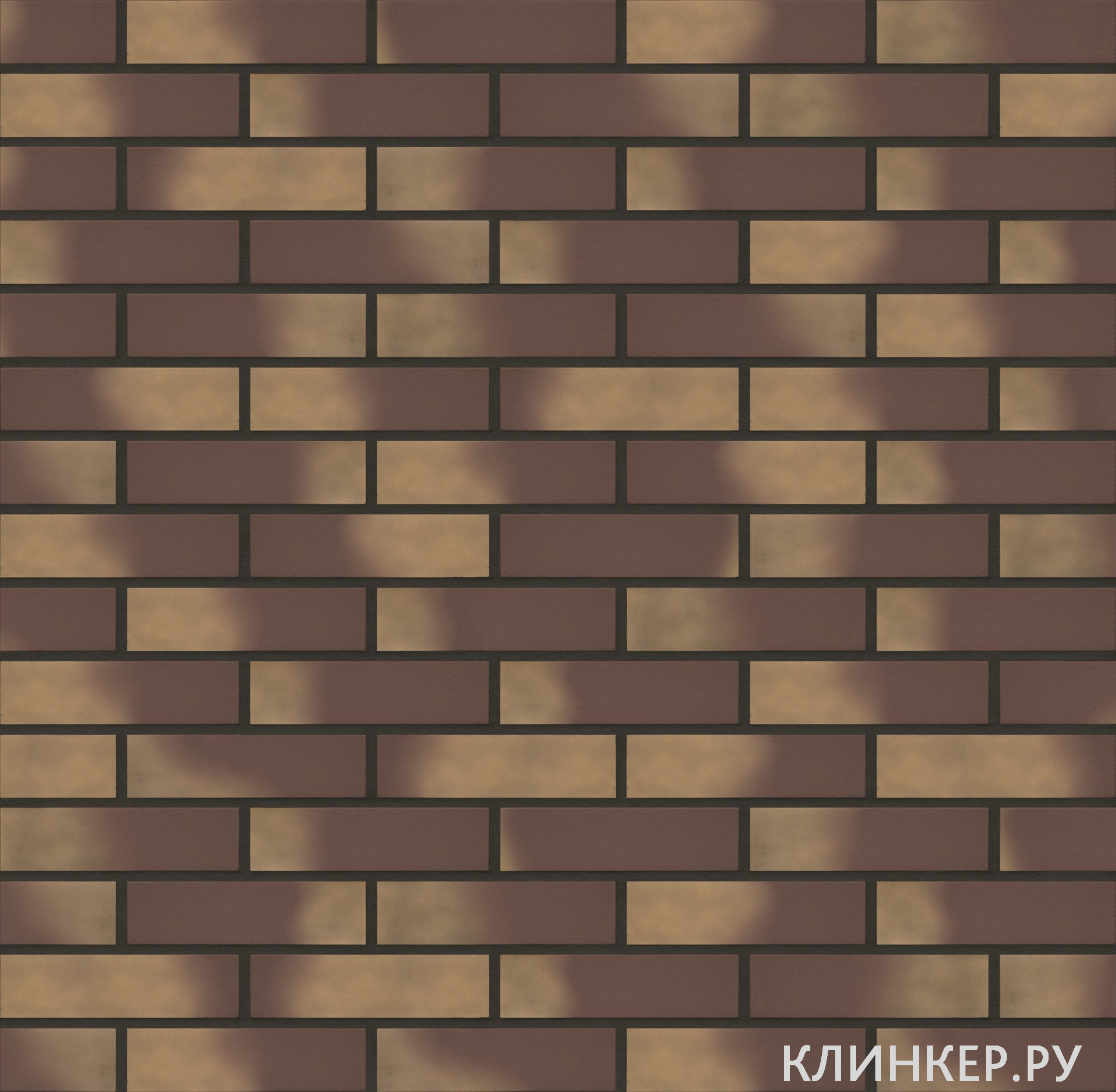 plitka-13-golden-autumn-nf10_6