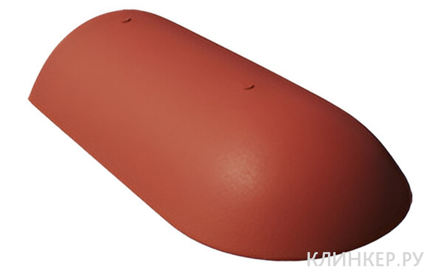 nachalnaya-hrebtovaya-cherepica-braas-frankfurt-vishnya_1