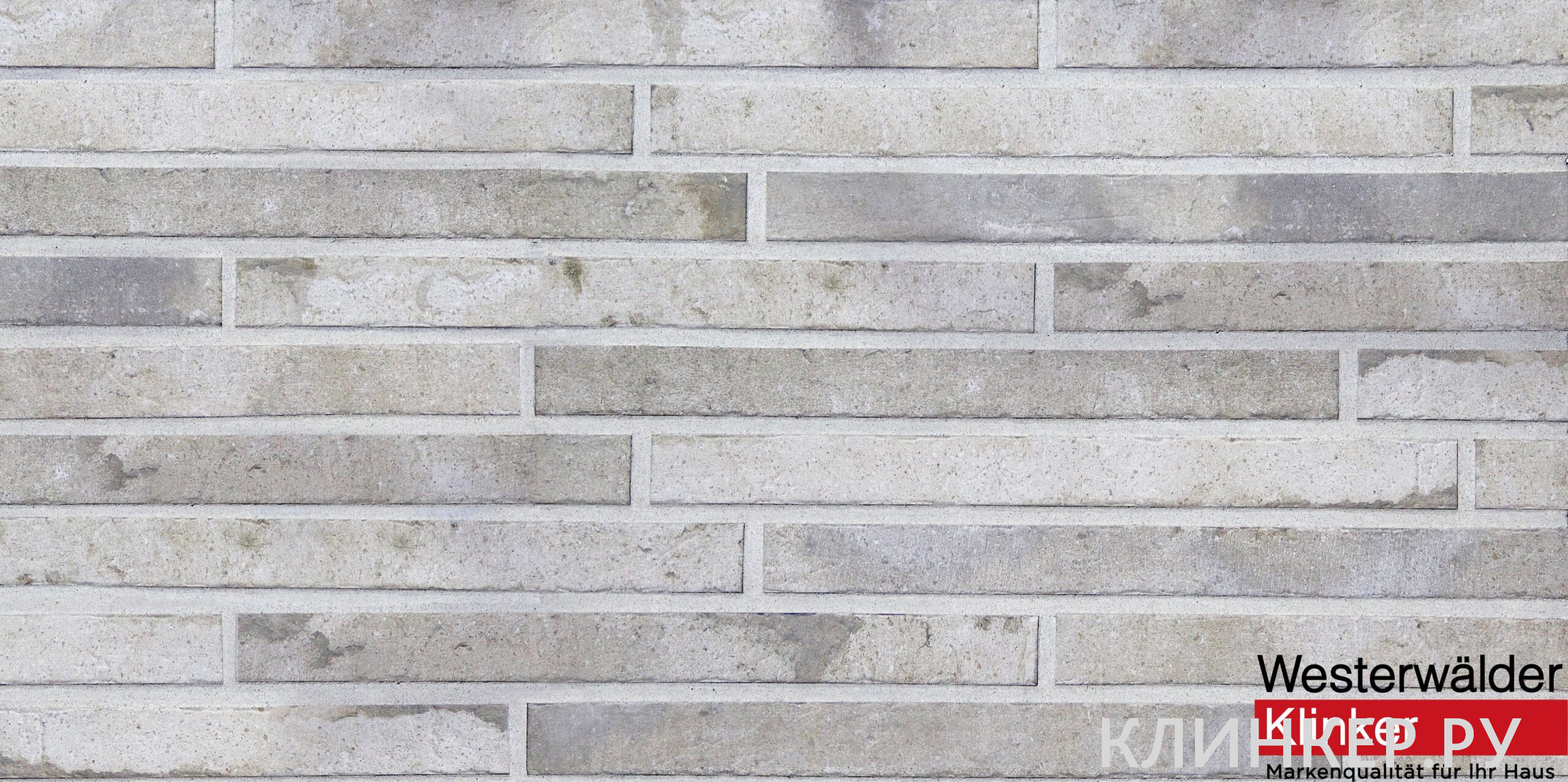 wk122-long-beige-scaled