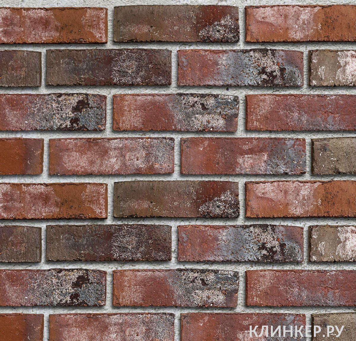 wiesmoor-rotblau-bunt_21