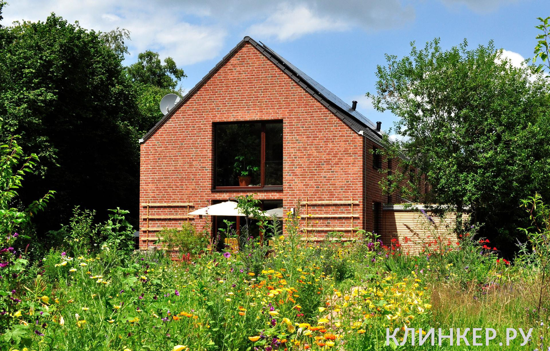 wasserstrich-hellrot-bunt_18