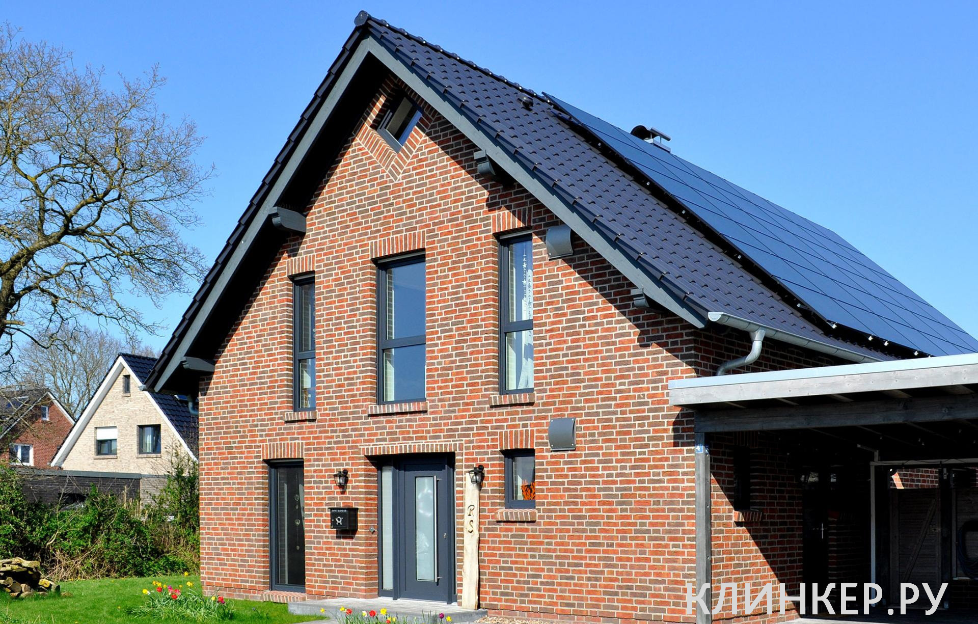 wasserstrich-buntgeflammt_12