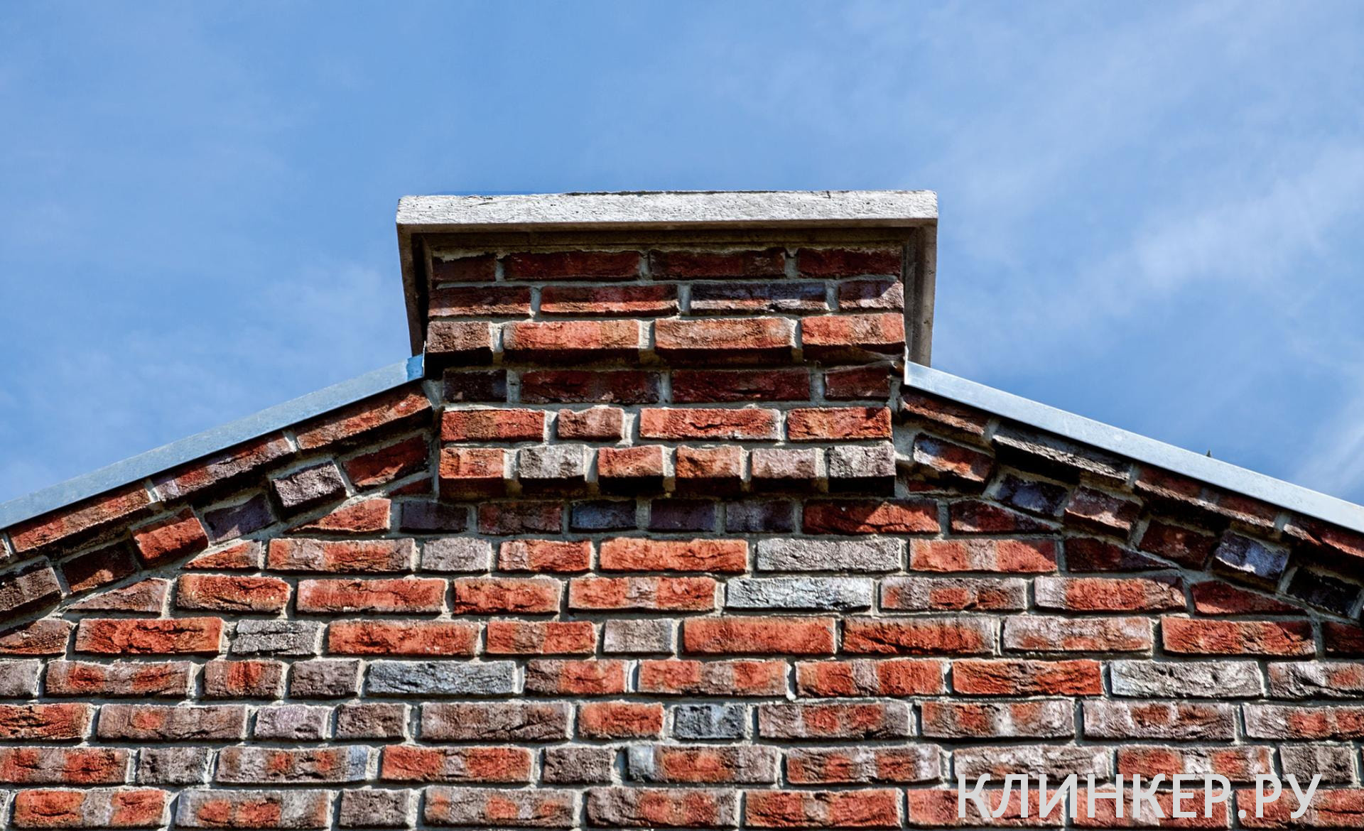 wasserstrich-buntgeflammt_19