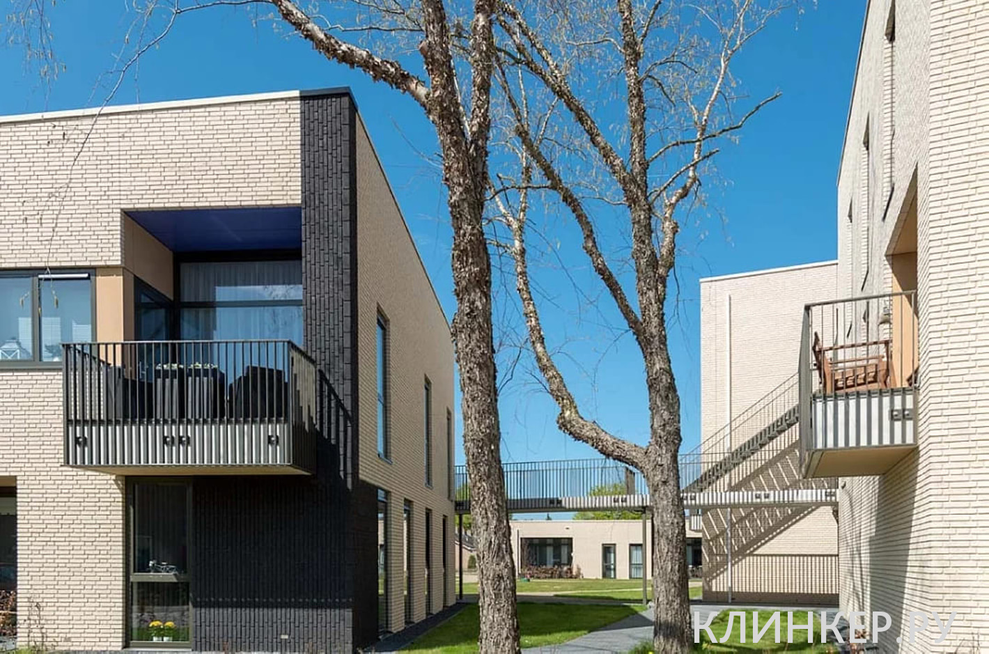 rodruza-super-white_3