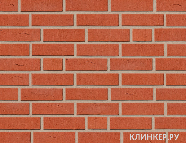 rubinrot-wasserstrich_17