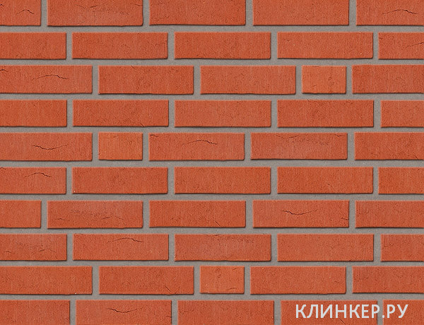 rubinrot-wasserstrich_11