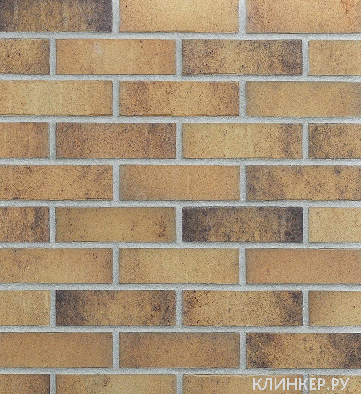 marseille-gelb-bunt-carbon_1