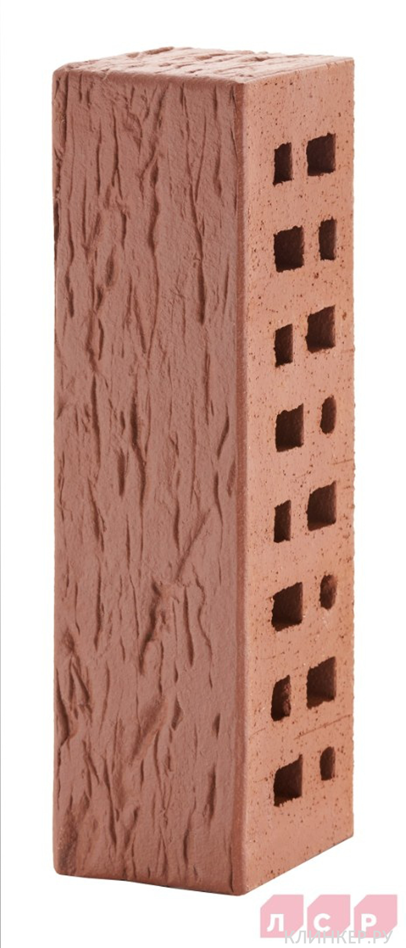 edinburg-tyomno-krasnij-beresta_8