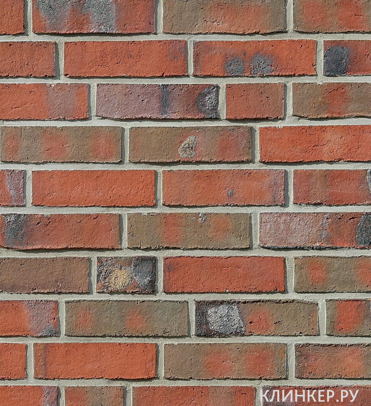 wiesmoor-rotblau-bunt_1