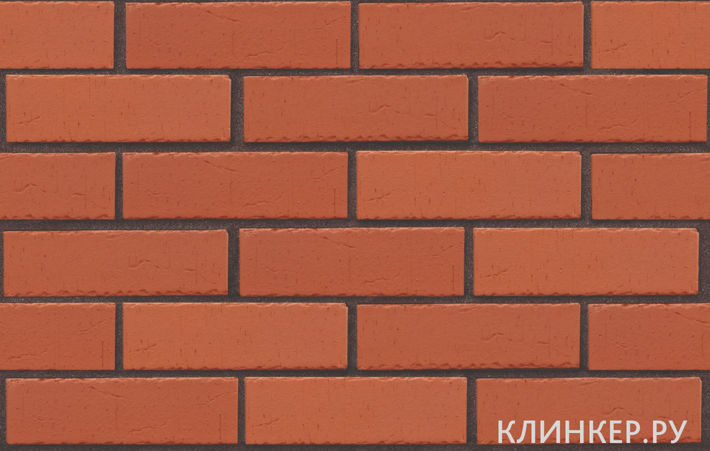 kembridzh-krasnij-vintazh_3