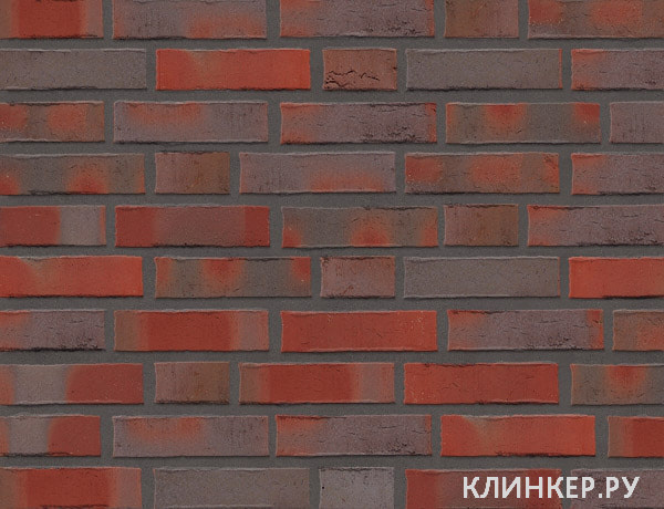 rot-blau-bunt-deluxe_15