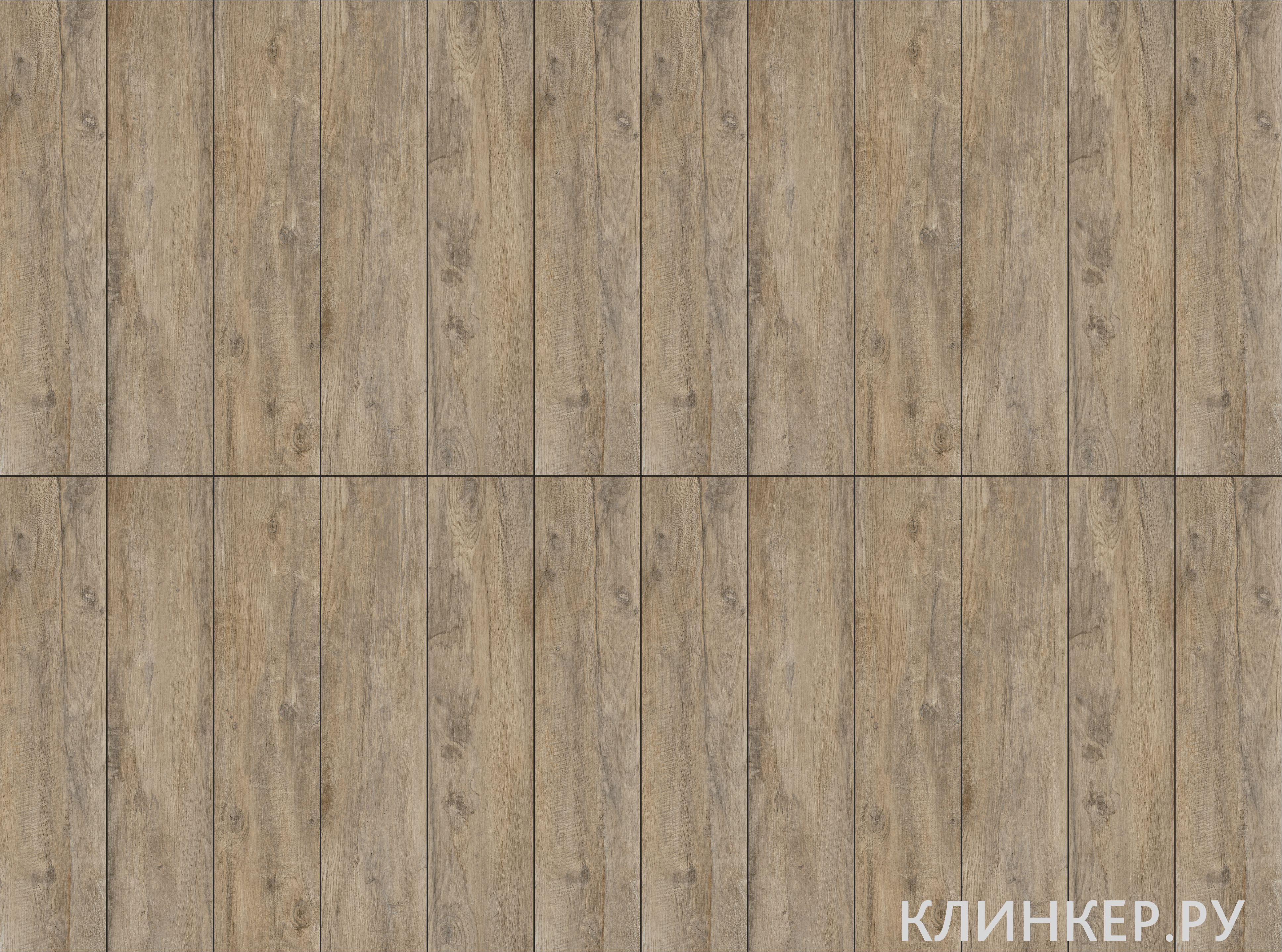 NEBRASKA_ELM_kover_12x2
