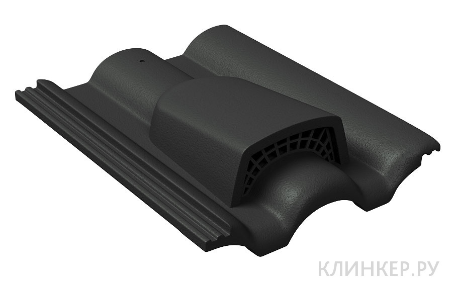 ventilyacionnaya-cherepica-braas-taunus-chernaya_1