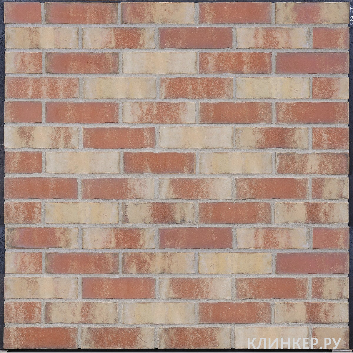 plitka-hf38-never-land-nf10_6