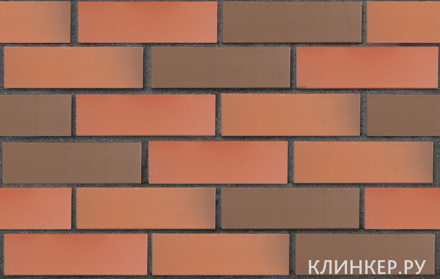 nottingem-krasnij-flesh-gladkaya_3