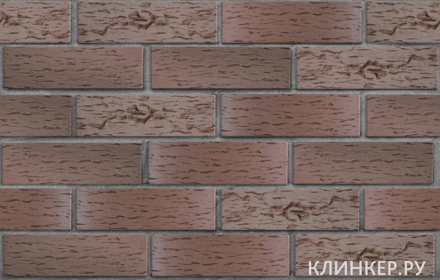 bryugge-tyomno-terrakotovij-flesh-beresta_1