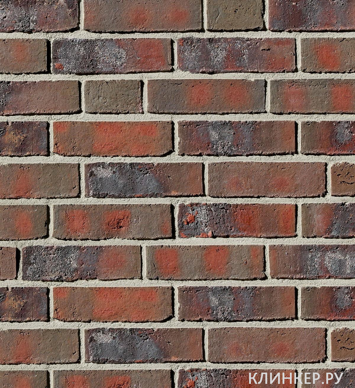 wiesmoor-kohle-bunt_1