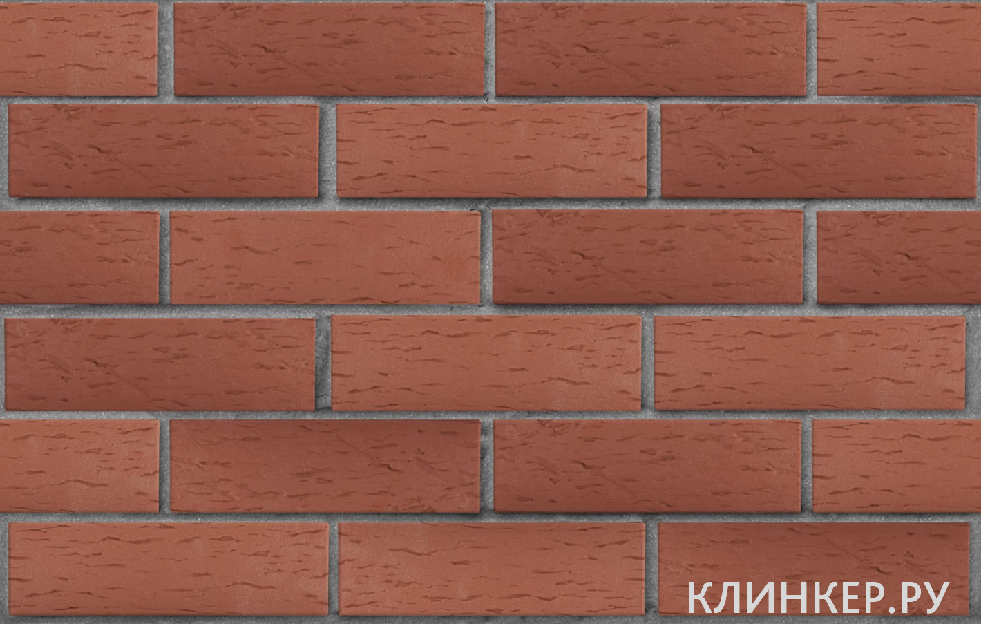 edinburg-tyomno-krasnij-beresta_1