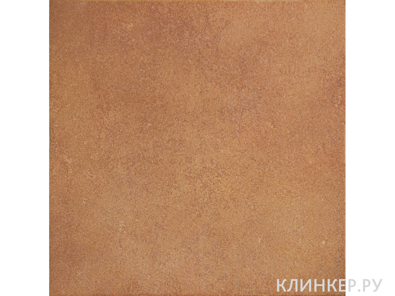 exagres-vega-rojo-napolnaya-plitka-330x330