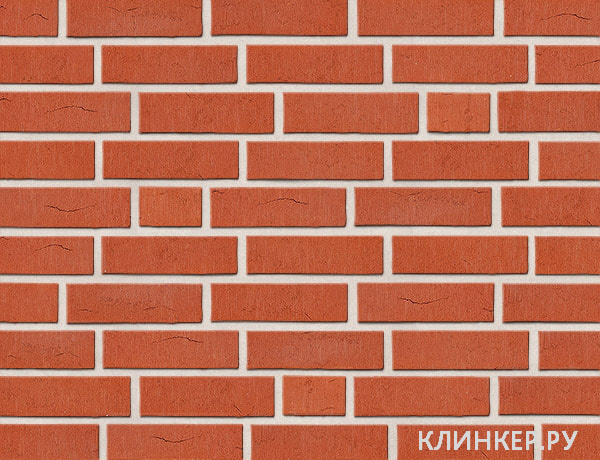 rubinrot-wasserstrich_18