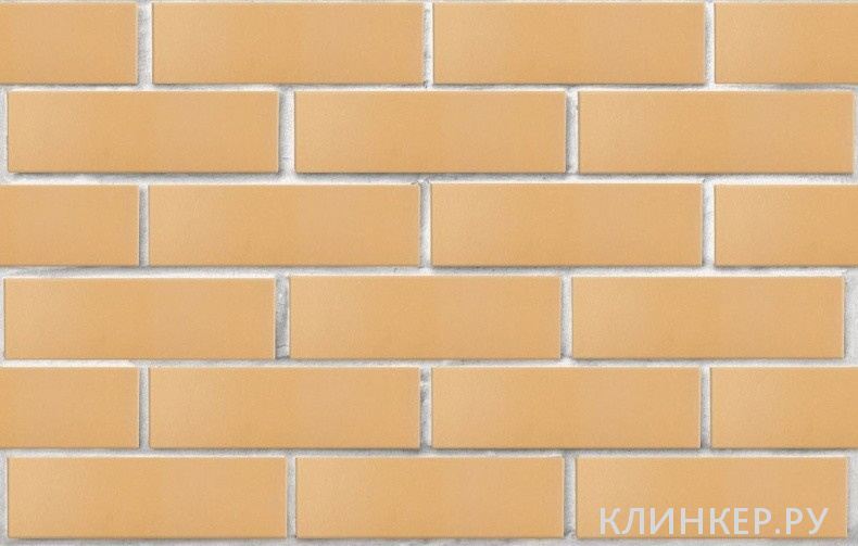 pshenichnij-gladkij-M175-PPKZ_4