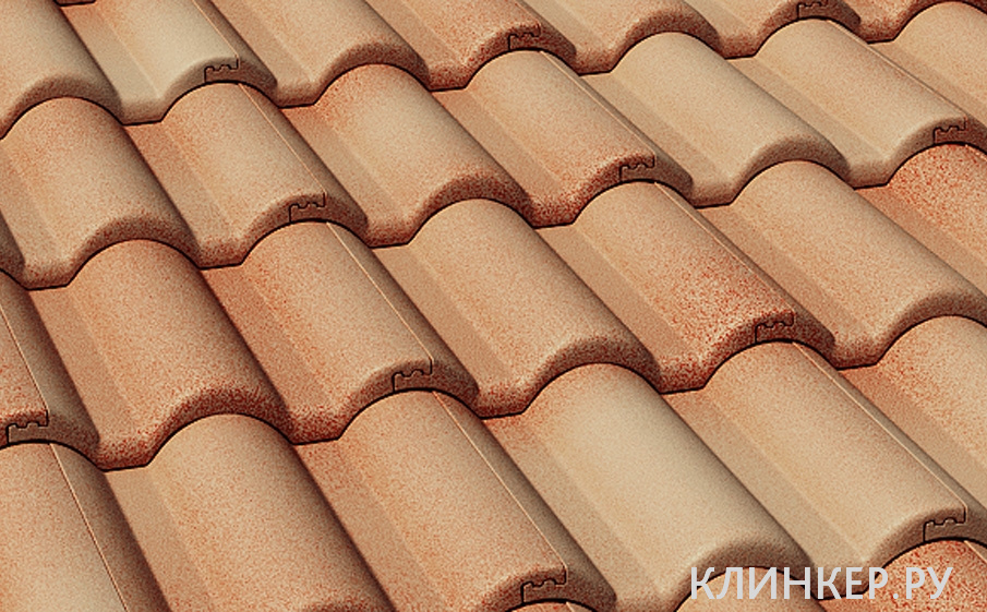 cherepica-braas-taunus-dyuna_1