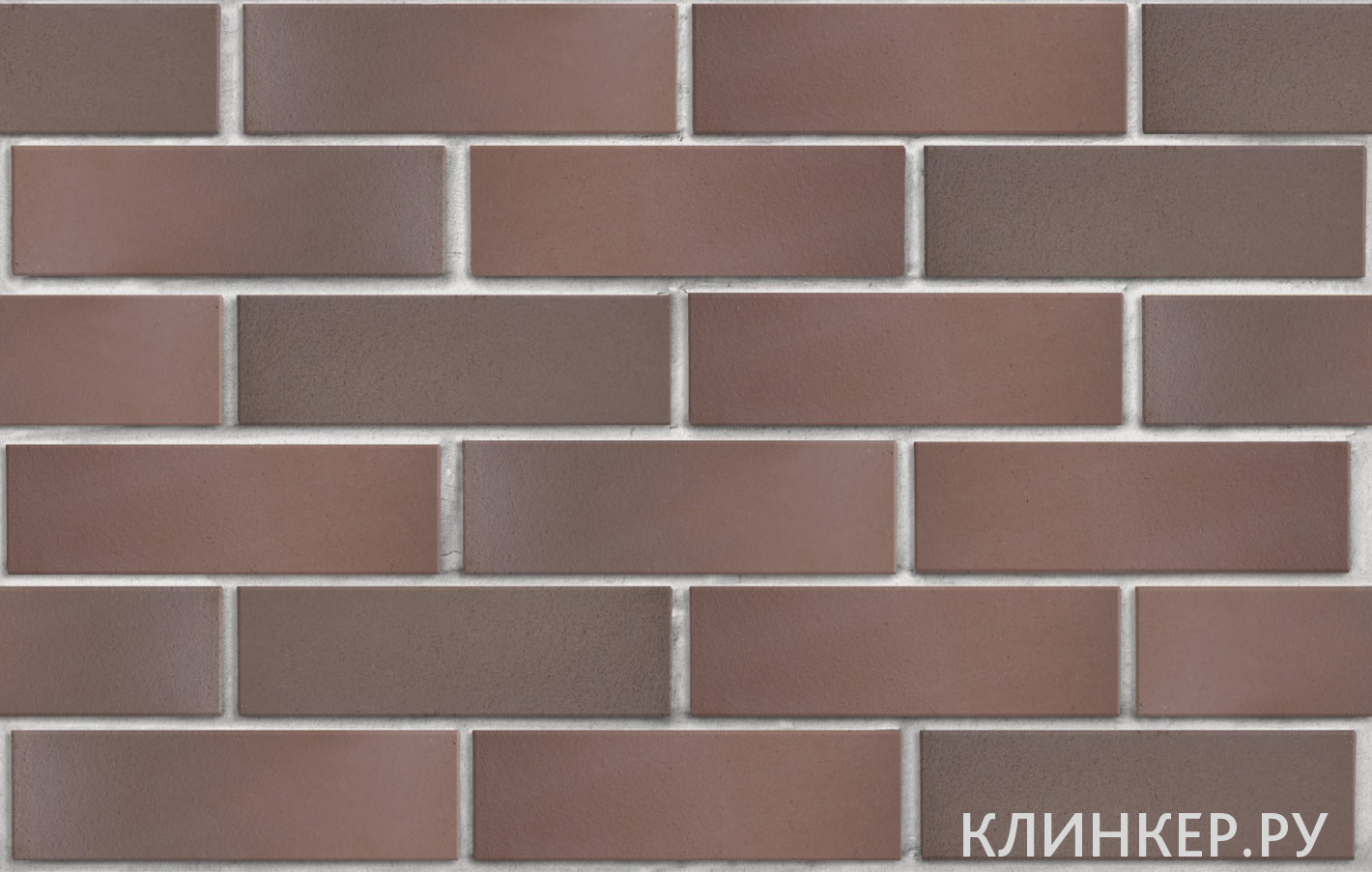 bryugge-tyomno-terrakotovij-flesh-gladkaya_2