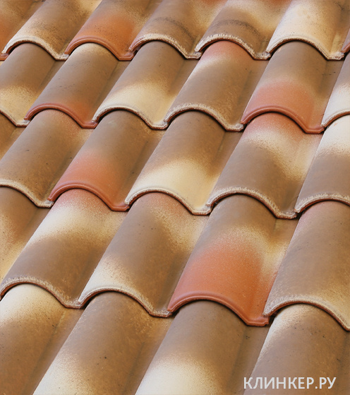 1teja-mixta-11-expositor-oceanique