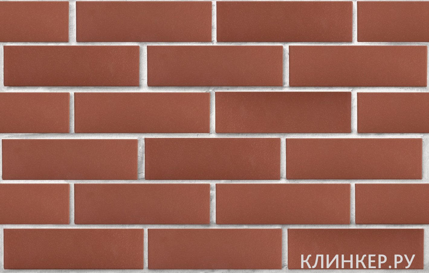 edinburg-tyomno-krasnij-gladkaya_2