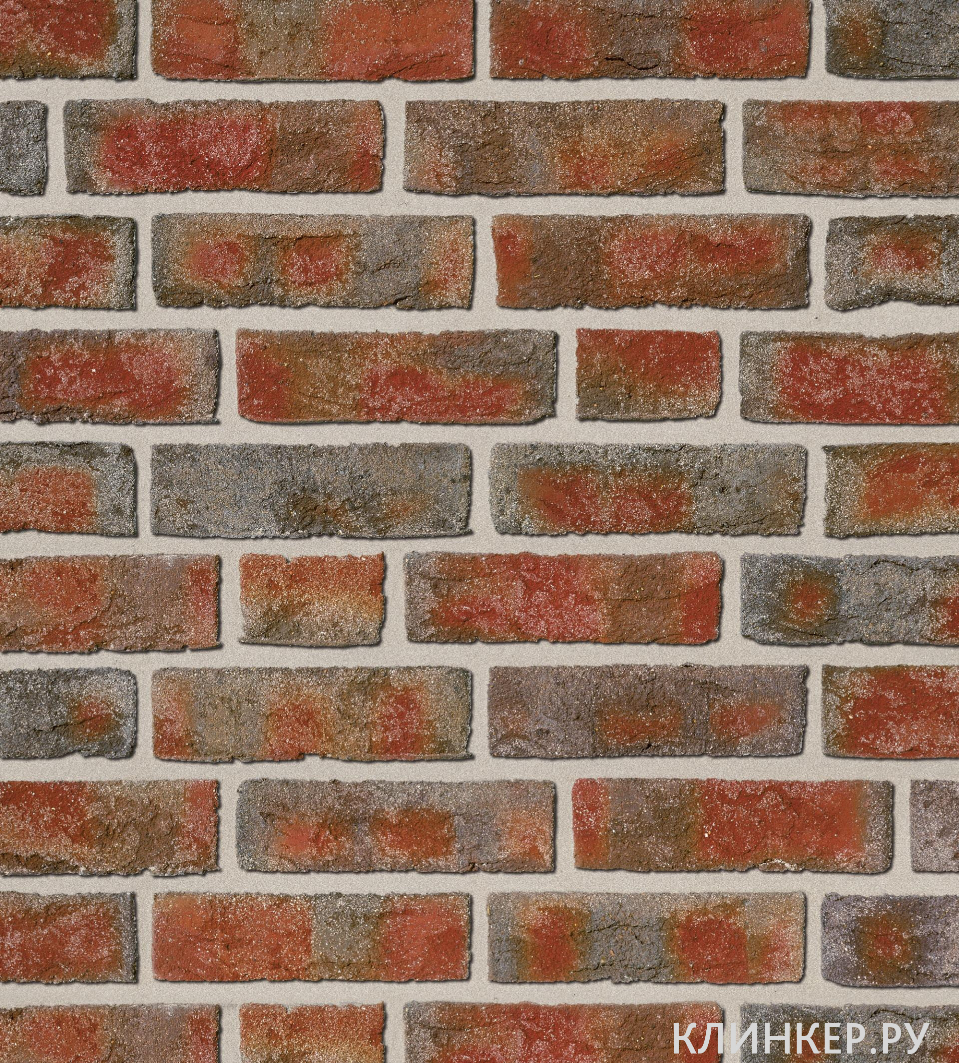 formback-buntgeflammt_1