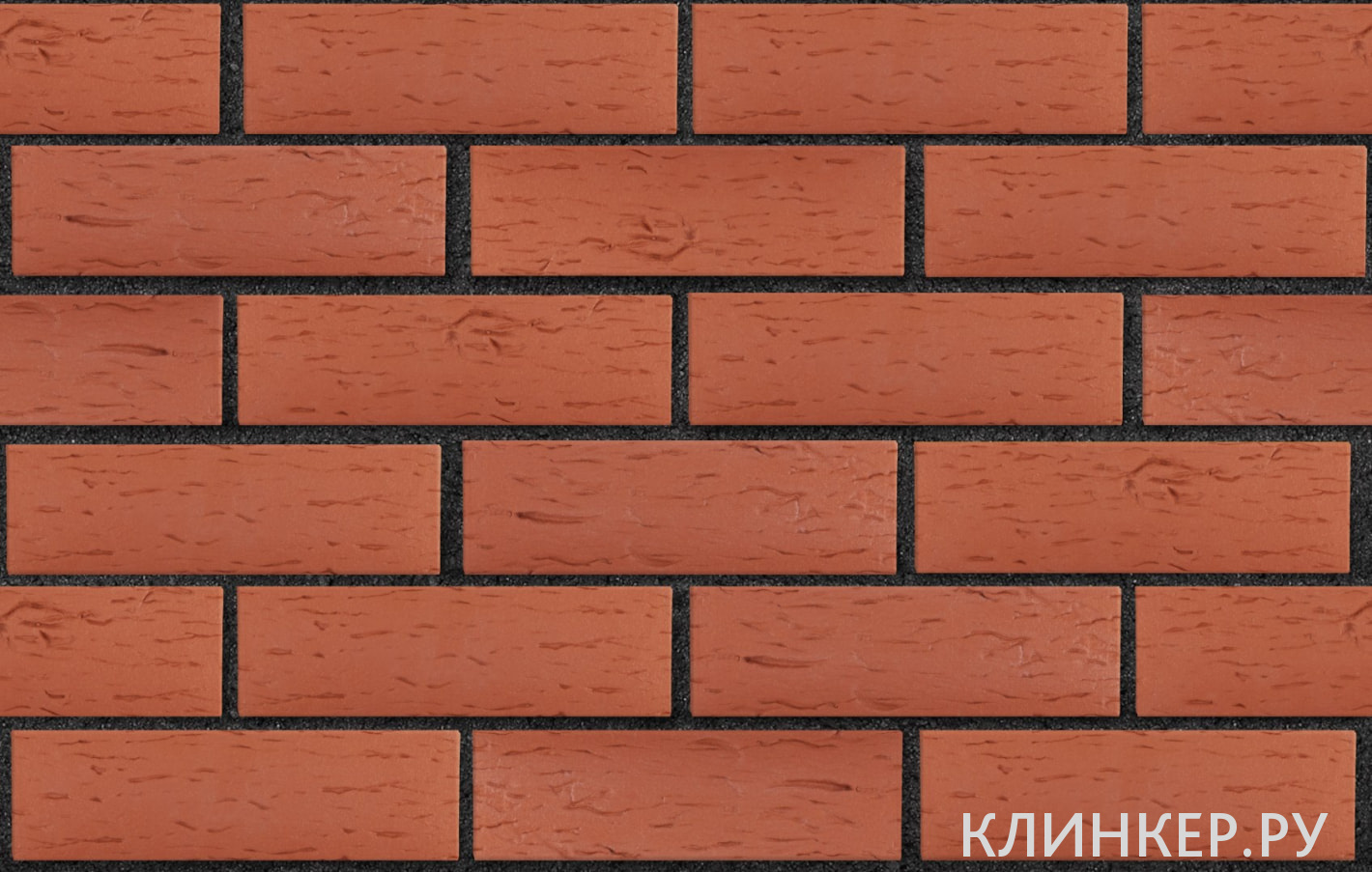 london-krasnij-beresta_3