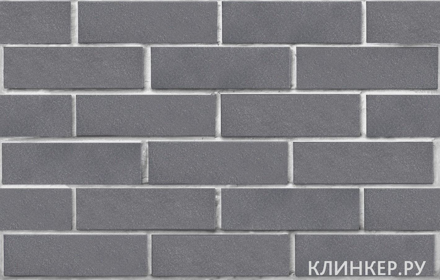 elfyus-serebristij-gladkaya_2
