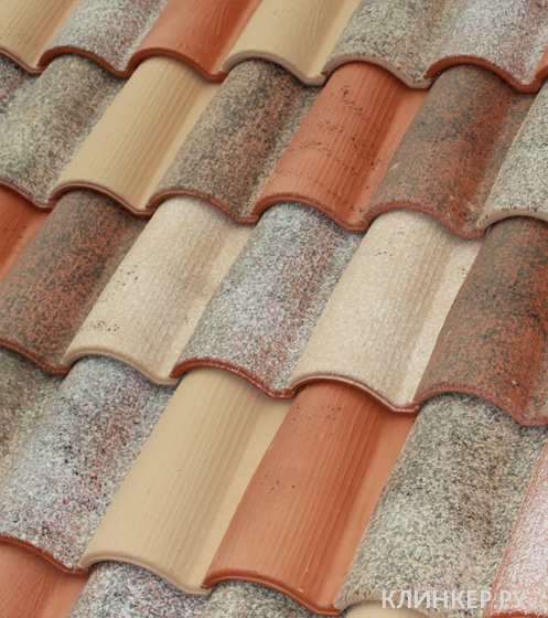 1teja-mixta-11-expositor-millenaria