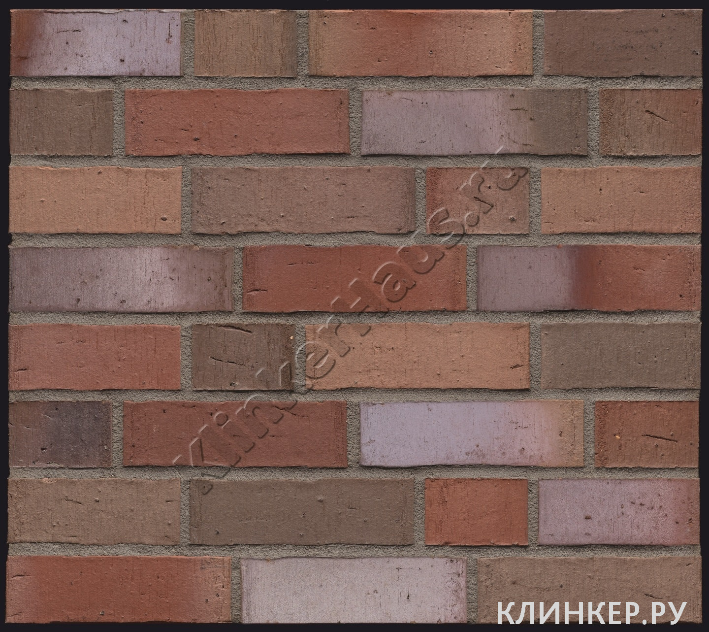 r661nf_3