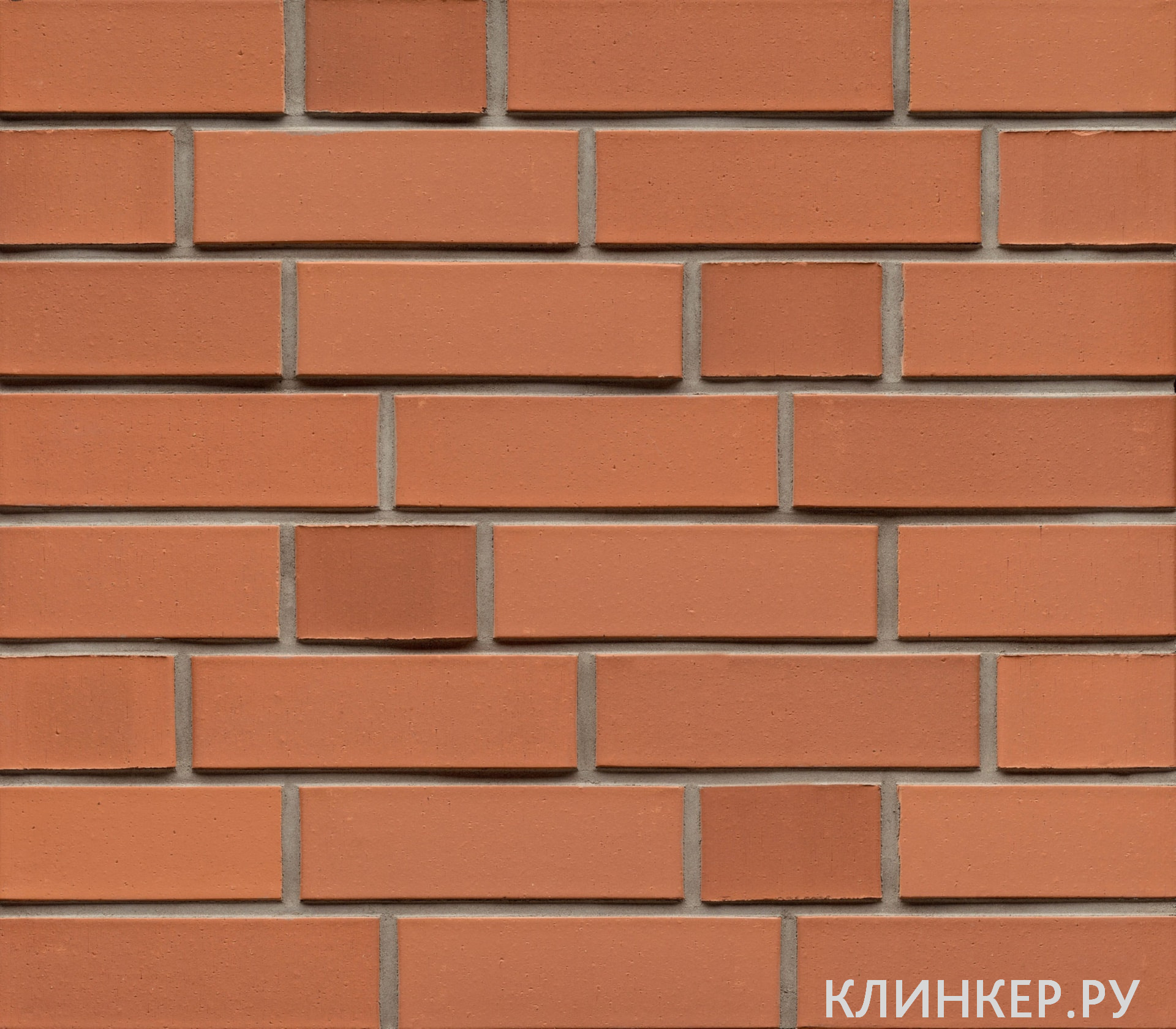 k490nf_2