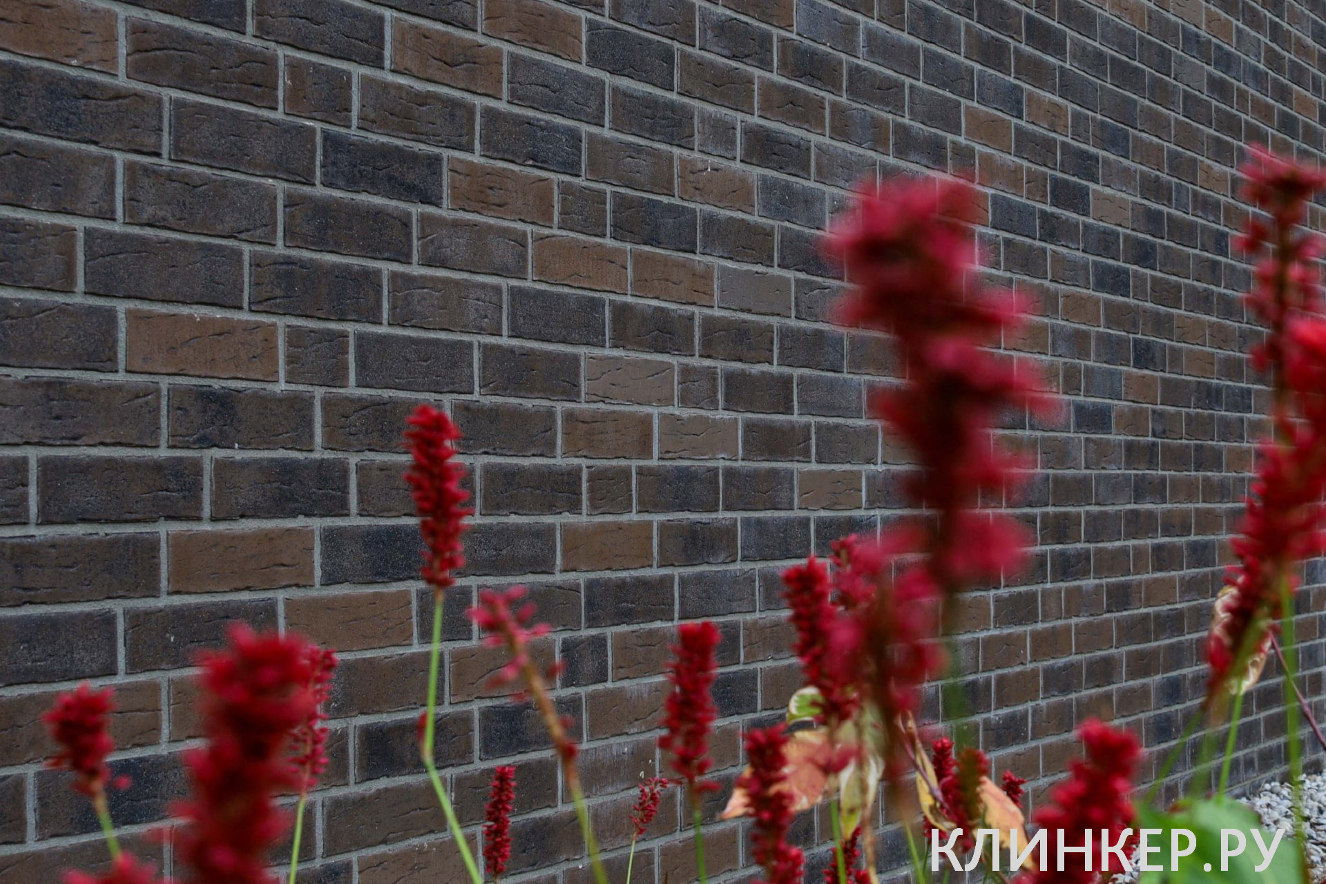 hf27-blues-shadow-nf14-nvf_2