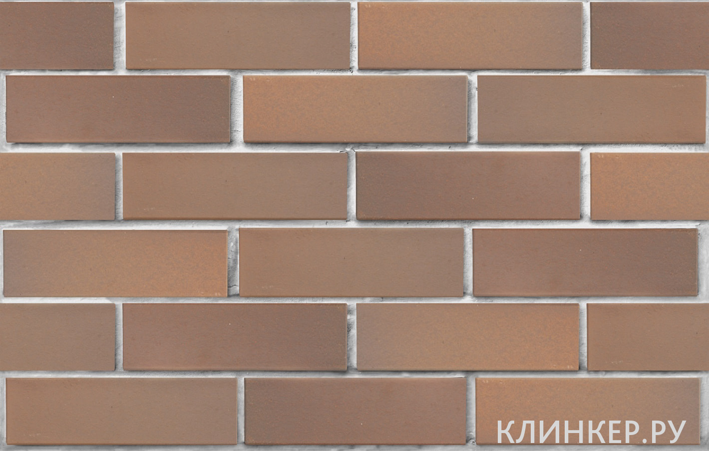 praga-svetlo-korichnevij-flesh-gladkaya_2